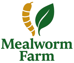 Mealworm Farm Bangladesh