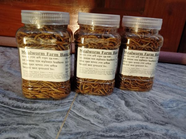 Dried Mealworm ( ড্রাই মিলওয়ার্ম ) - Image 6