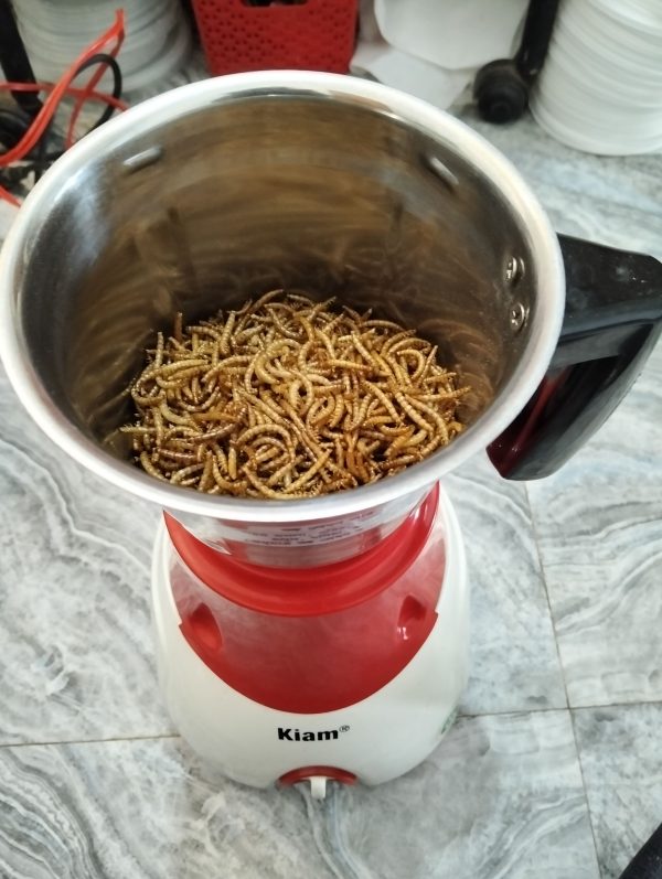Mealworm Powder ( মিলওয়ার্ম পাওডার ) - Image 4