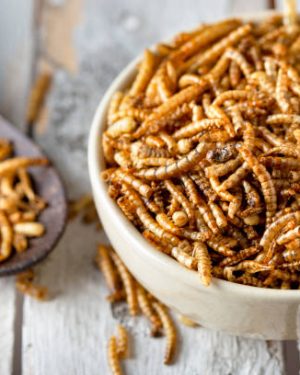 Dried Mealworm ( ড্রাই মিলওয়ার্ম )