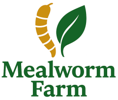 Insect BD – Mealworm Farm