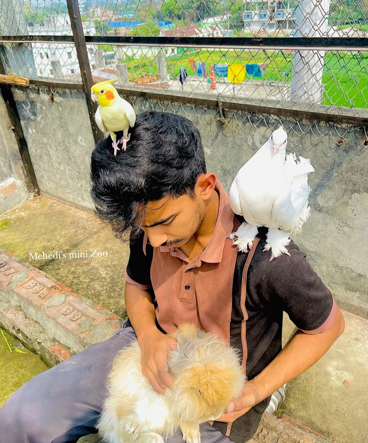 Mehedi’s mini Zoo - Image 2