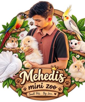 Mehedi’s mini Zoo