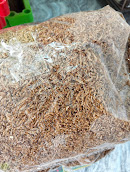 Pure Mealworm Exuviae / Mealworm Shell ( মিলওয়ার্ম এর খোলস ) - Image 2