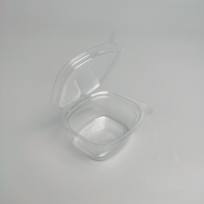 Superworm Pupa Cup (ছোট চারকোণা কাপ) - Image 4